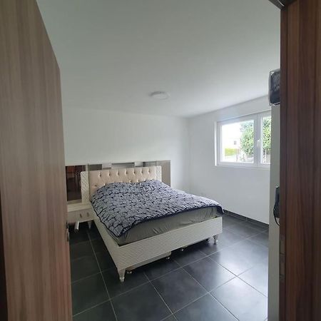 Bel Appartement Rez De Jardin Horbourg Εξωτερικό φωτογραφία